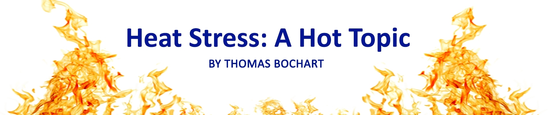 Heat Stress: A Hot Topic